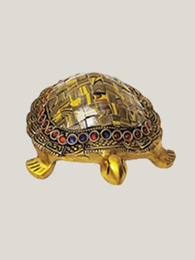 Tortoise mini size for home deocr